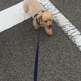 暑いだけならいいんだけど…の画像