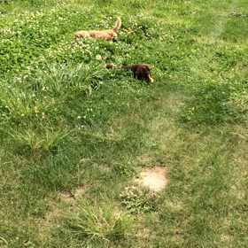 ☆またまた動画☆の画像