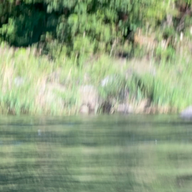 あなたは特別な才能を持ったかけがえのない存在であるの画像