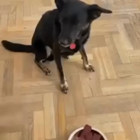 ちょっと一服、、盛らせないぜ！の画像