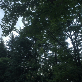 夏‼︎だね〜の画像