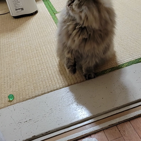 自分の通院の画像