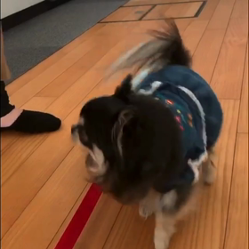 べる宿題の画像