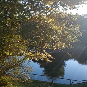 午後の光の画像