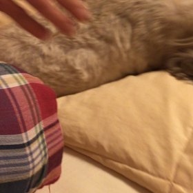 ラルフの儀式の画像