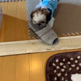 激しすぎるだろ〜笑の画像