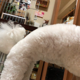 8月8日  ゆっくりできないの画像