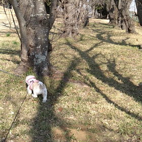 いい天気!の画像