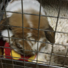 氷つくような 出来事の画像