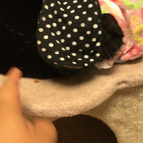 党首と執事の戦い…の画像