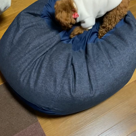 探し物は何ですか？の画像