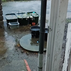 たぷたぷですね、雨の画像