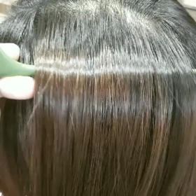 11月7日投稿者こうきの画像