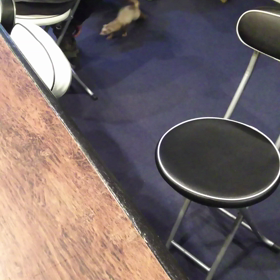 お客樣に遊んで頂きテンションアゲアゲの画像