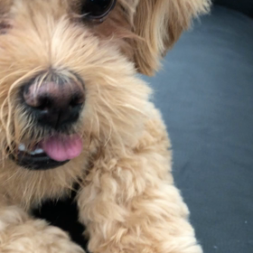 おやつタイムの画像