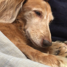 おかしいなぁの画像