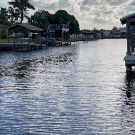 今朝の水路の画像