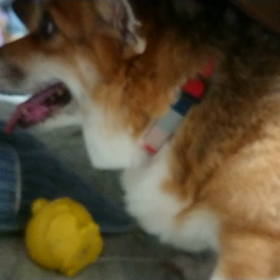 邪魔者ありの画像