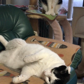 きばいやんせ。の画像