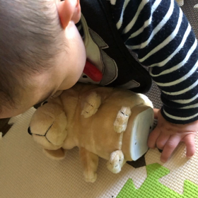 初めての犬に号泣の画像