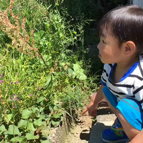 悠翔と春の使いの画像