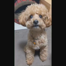 最近おぼえたこと。の画像