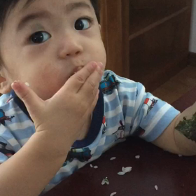 今日の朝食の画像