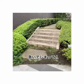 ”朝飛び起きて買いに行ったもの！”の画像