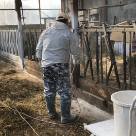 石灰塗布作業の動画ですの画像