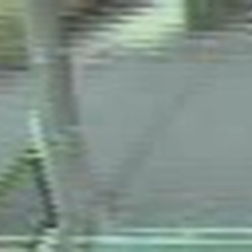 道に落ちてる物は、近所の人の所へ、投げ捨て！Σ('◉⌓◉’)の画像