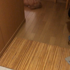 又夢見た。帰宅時気付かないチップ君。の画像