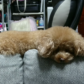 明日は金曜日か…の画像