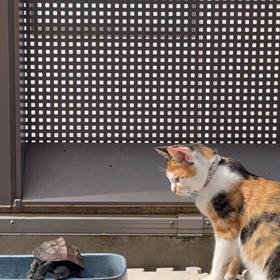 時間の不思議の画像