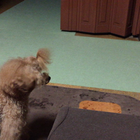 好きなの？の画像