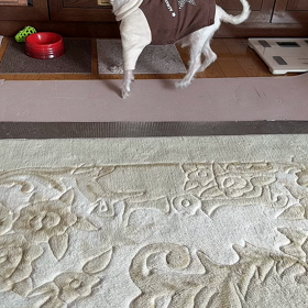 最近の様子の画像