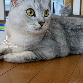 銀次郎とおまるの画像