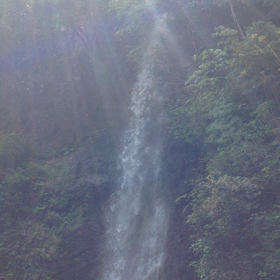 養老の滝の画像