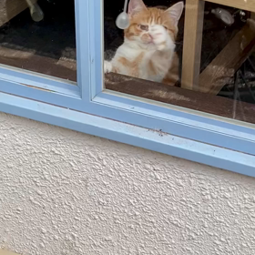 ナッちゃんの運動の画像