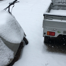 雪だなぁ…の画像