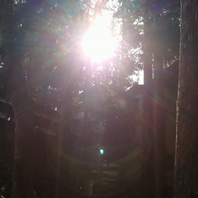 龍の唄✨の画像