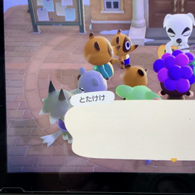 seven seas 島の画像