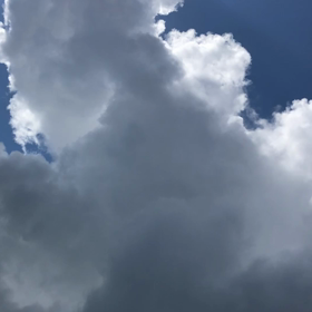 7月25日(木)の画像