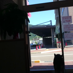 カグラ店長(笑)の画像