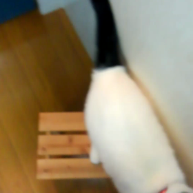 食いしん坊万歳の画像