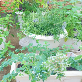 介護記録８５（ヘソを曲げた）の画像