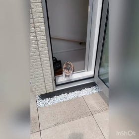 初めての朝散歩から毎日の朝散歩の画像