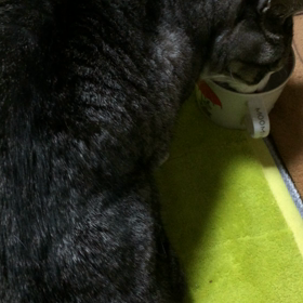 先生にありがとう。の画像