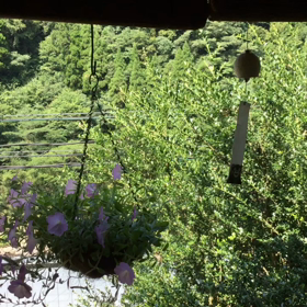 軒下に下げた陶器の風鈴の画像