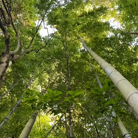 “自然と音遊び” プロジェクト vol.060！の画像