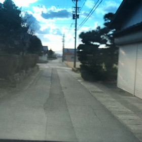 3/16まだ寒いかなの画像